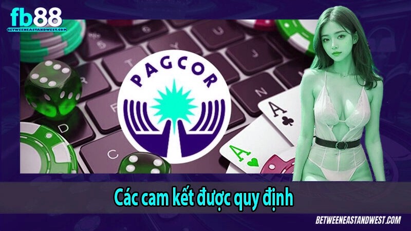 Các cam kết được quy định