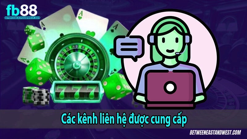 Các kênh liên hệ được cung cấp