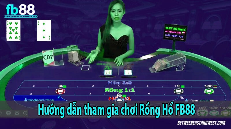 Hướng dẫn tham gia chơi Rồng Hổ x5bet